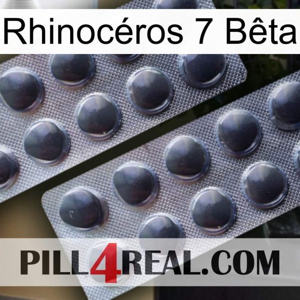 Rhinocéros 7 Bêta 31.jpg